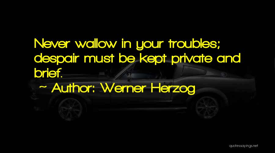 Werner Herzog Quotes: Never Wallow In Your Troubles; Despair Must Be Kept Private And Brief.