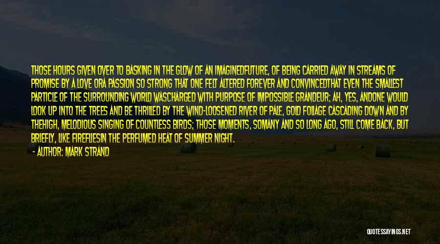 Mark Strand Quotes: Those Hours Given Over To Basking In The Glow Of An Imaginedfuture, Of Being Carried Away In Streams Of Promise