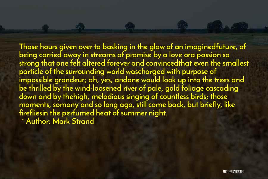 Mark Strand Quotes: Those Hours Given Over To Basking In The Glow Of An Imaginedfuture, Of Being Carried Away In Streams Of Promise