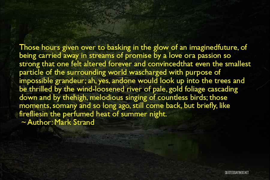 Mark Strand Quotes: Those Hours Given Over To Basking In The Glow Of An Imaginedfuture, Of Being Carried Away In Streams Of Promise