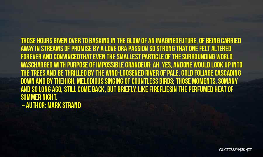 Mark Strand Quotes: Those Hours Given Over To Basking In The Glow Of An Imaginedfuture, Of Being Carried Away In Streams Of Promise