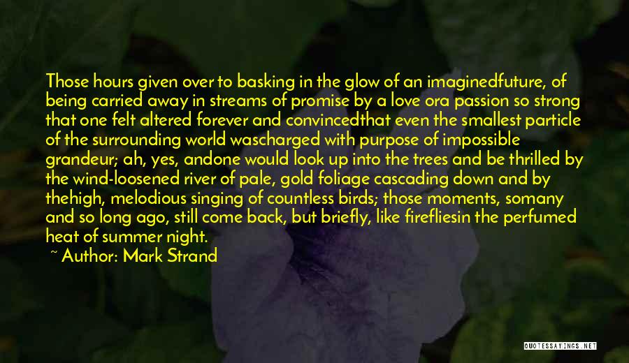 Mark Strand Quotes: Those Hours Given Over To Basking In The Glow Of An Imaginedfuture, Of Being Carried Away In Streams Of Promise