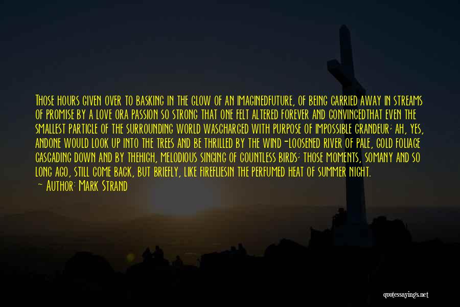 Mark Strand Quotes: Those Hours Given Over To Basking In The Glow Of An Imaginedfuture, Of Being Carried Away In Streams Of Promise