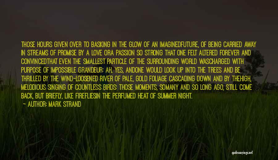 Mark Strand Quotes: Those Hours Given Over To Basking In The Glow Of An Imaginedfuture, Of Being Carried Away In Streams Of Promise