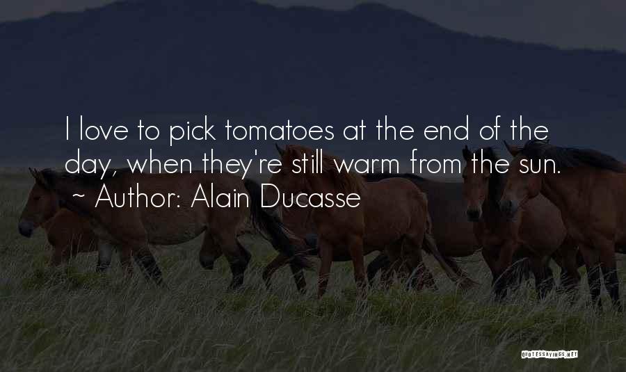Alain Ducasse Quotes: I Love To Pick Tomatoes At The End Of The Day, When They're Still Warm From The Sun.
