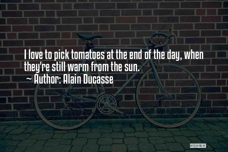 Alain Ducasse Quotes: I Love To Pick Tomatoes At The End Of The Day, When They're Still Warm From The Sun.