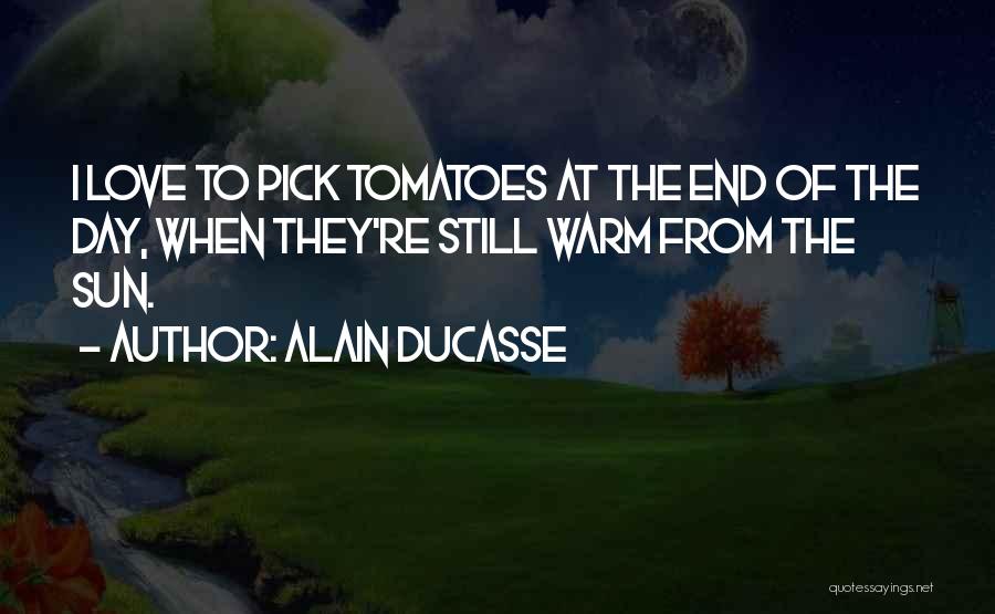 Alain Ducasse Quotes: I Love To Pick Tomatoes At The End Of The Day, When They're Still Warm From The Sun.