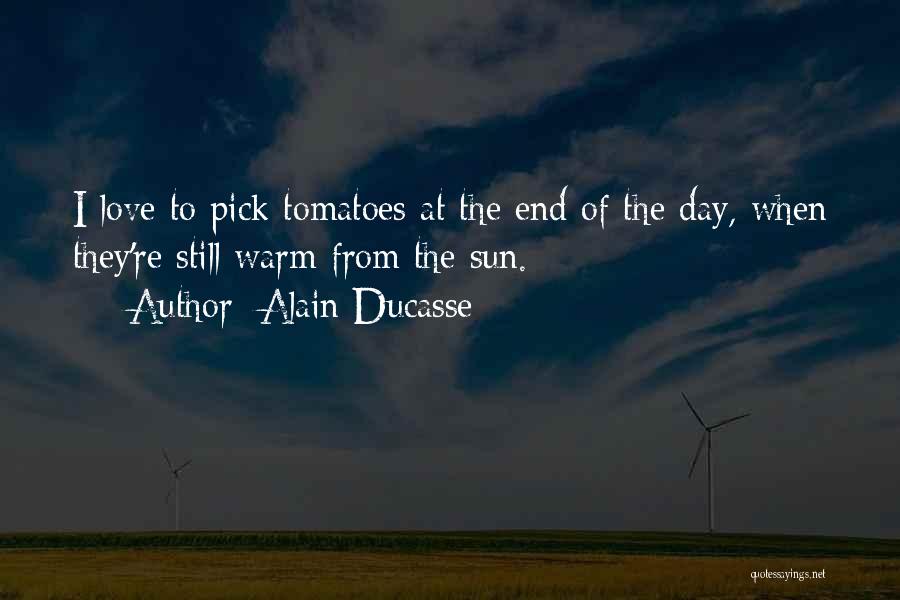 Alain Ducasse Quotes: I Love To Pick Tomatoes At The End Of The Day, When They're Still Warm From The Sun.