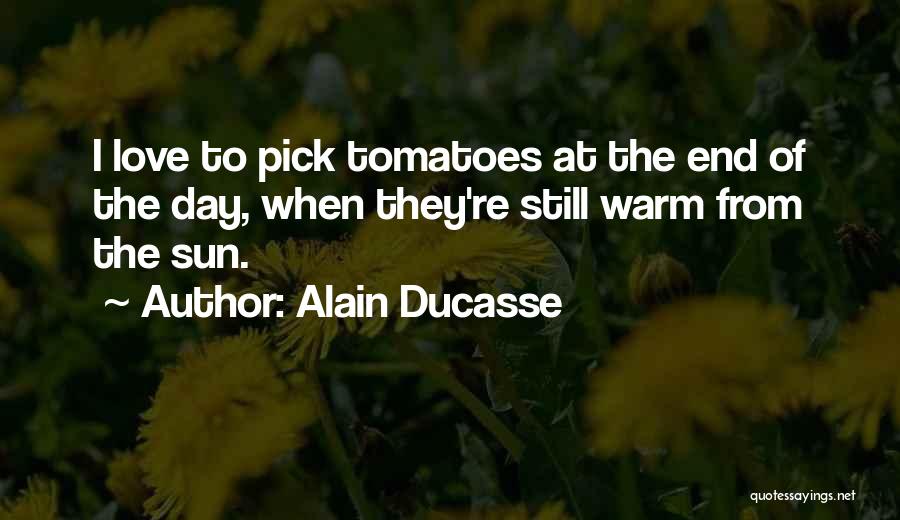 Alain Ducasse Quotes: I Love To Pick Tomatoes At The End Of The Day, When They're Still Warm From The Sun.