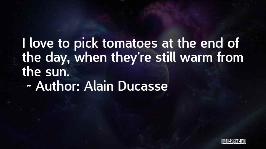 Alain Ducasse Quotes: I Love To Pick Tomatoes At The End Of The Day, When They're Still Warm From The Sun.