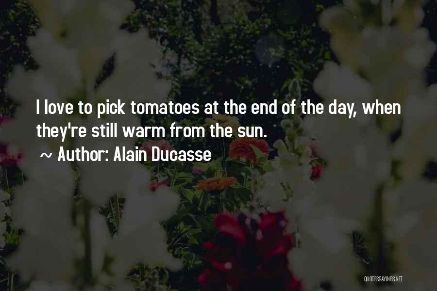 Alain Ducasse Quotes: I Love To Pick Tomatoes At The End Of The Day, When They're Still Warm From The Sun.