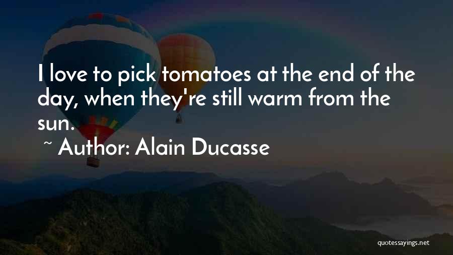 Alain Ducasse Quotes: I Love To Pick Tomatoes At The End Of The Day, When They're Still Warm From The Sun.