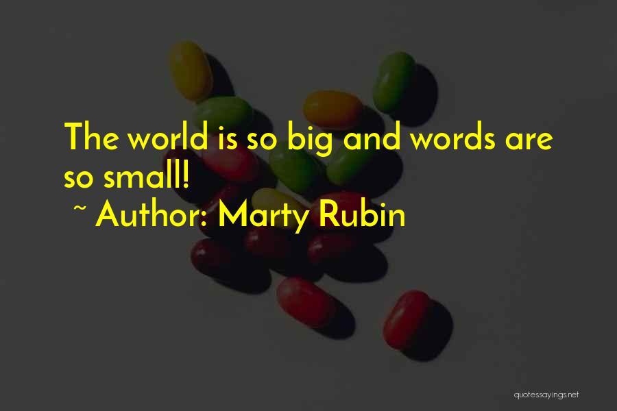Marty Rubin Quotes: The World Is So Big And Words Are So Small!