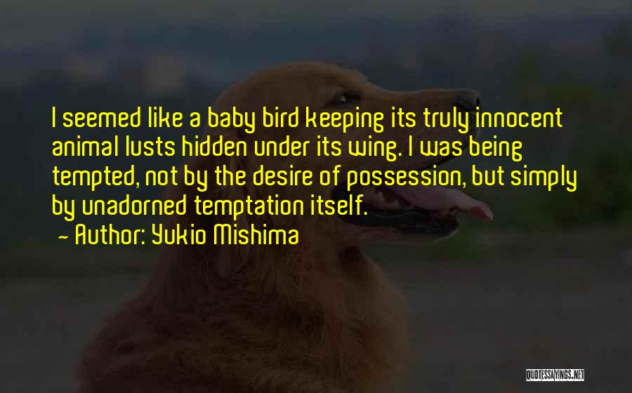 Yukio Mishima Quotes: I Seemed Like A Baby Bird Keeping Its Truly Innocent Animal Lusts Hidden Under Its Wing. I Was Being Tempted,