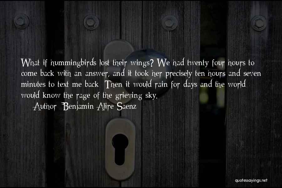 Benjamin Alire Saenz Quotes: What If Hummingbirds Lost Their Wings? We Had Twenty-four Hours To Come Back With An Answer, And It Took Her