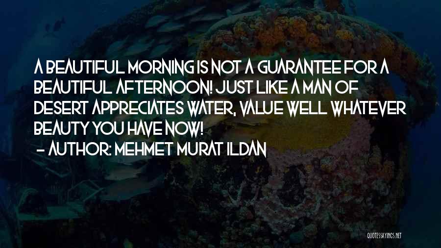 Mehmet Murat Ildan Quotes: A Beautiful Morning Is Not A Guarantee For A Beautiful Afternoon! Just Like A Man Of Desert Appreciates Water, Value