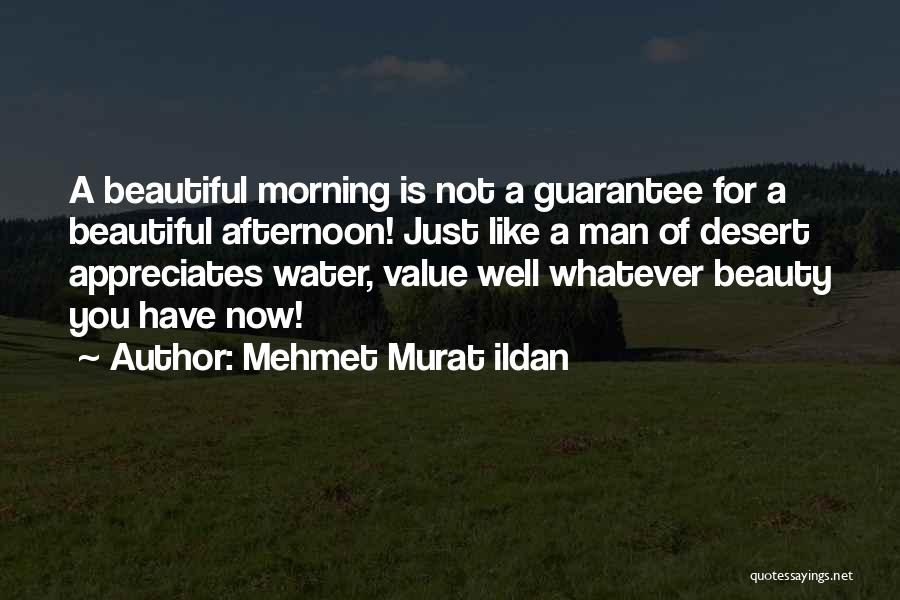 Mehmet Murat Ildan Quotes: A Beautiful Morning Is Not A Guarantee For A Beautiful Afternoon! Just Like A Man Of Desert Appreciates Water, Value