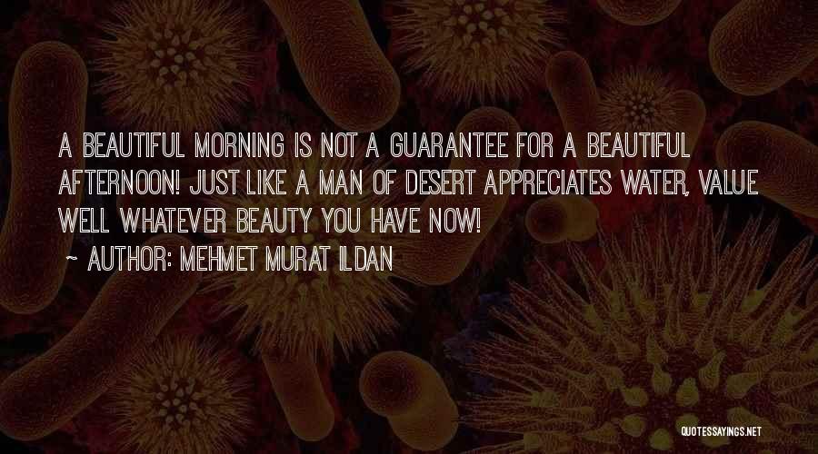 Mehmet Murat Ildan Quotes: A Beautiful Morning Is Not A Guarantee For A Beautiful Afternoon! Just Like A Man Of Desert Appreciates Water, Value