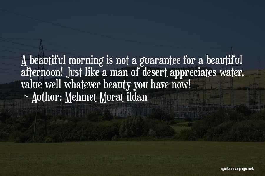 Mehmet Murat Ildan Quotes: A Beautiful Morning Is Not A Guarantee For A Beautiful Afternoon! Just Like A Man Of Desert Appreciates Water, Value