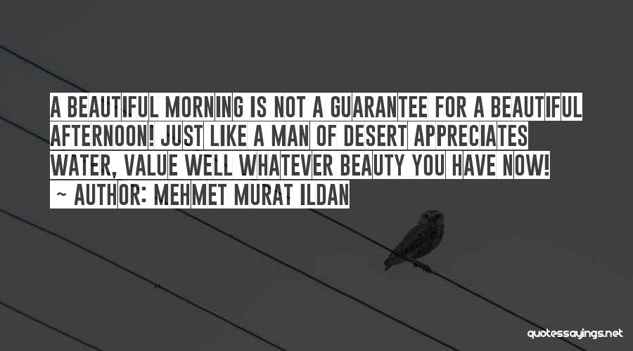 Mehmet Murat Ildan Quotes: A Beautiful Morning Is Not A Guarantee For A Beautiful Afternoon! Just Like A Man Of Desert Appreciates Water, Value