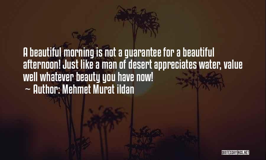 Mehmet Murat Ildan Quotes: A Beautiful Morning Is Not A Guarantee For A Beautiful Afternoon! Just Like A Man Of Desert Appreciates Water, Value