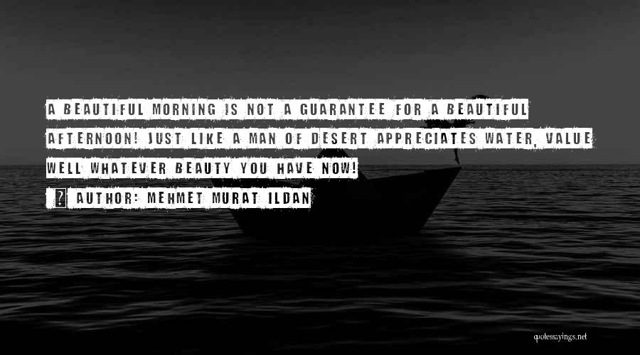 Mehmet Murat Ildan Quotes: A Beautiful Morning Is Not A Guarantee For A Beautiful Afternoon! Just Like A Man Of Desert Appreciates Water, Value