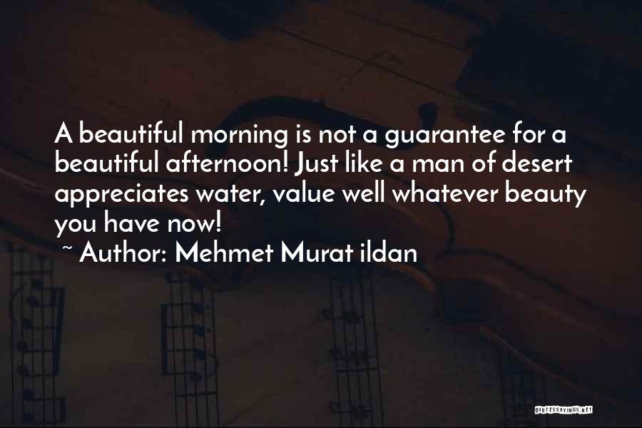Mehmet Murat Ildan Quotes: A Beautiful Morning Is Not A Guarantee For A Beautiful Afternoon! Just Like A Man Of Desert Appreciates Water, Value