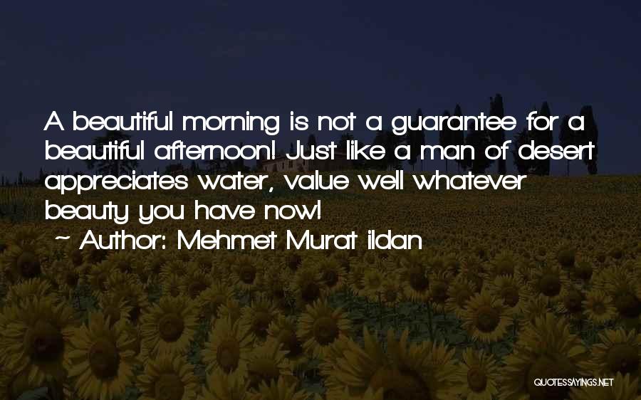 Mehmet Murat Ildan Quotes: A Beautiful Morning Is Not A Guarantee For A Beautiful Afternoon! Just Like A Man Of Desert Appreciates Water, Value