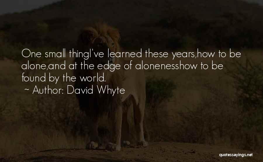 David Whyte Quotes: One Small Thingi've Learned These Years,how To Be Alone,and At The Edge Of Alonenesshow To Be Found By The World.