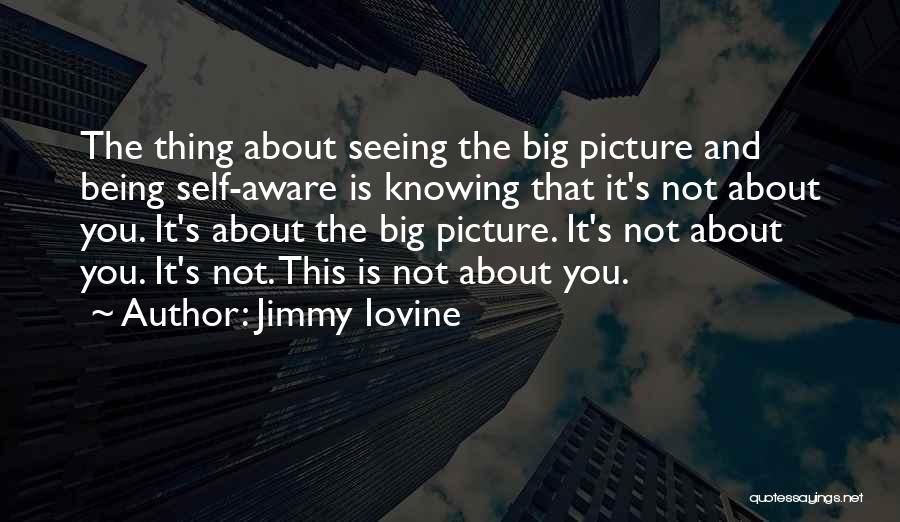 Jimmy Iovine Quotes: The Thing About Seeing The Big Picture And Being Self-aware Is Knowing That It's Not About You. It's About The