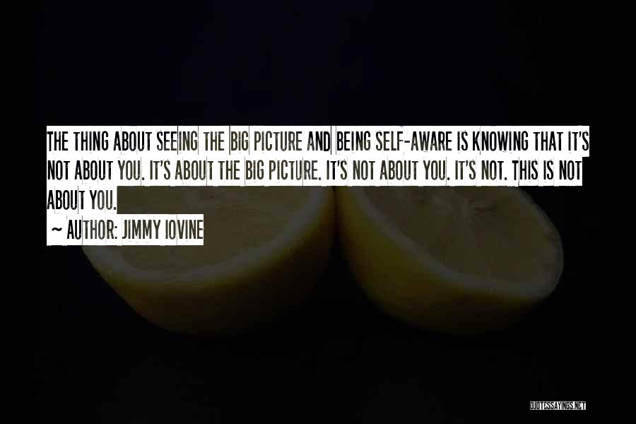 Jimmy Iovine Quotes: The Thing About Seeing The Big Picture And Being Self-aware Is Knowing That It's Not About You. It's About The