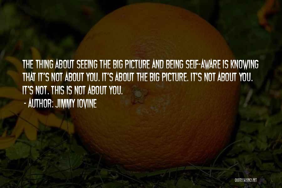 Jimmy Iovine Quotes: The Thing About Seeing The Big Picture And Being Self-aware Is Knowing That It's Not About You. It's About The