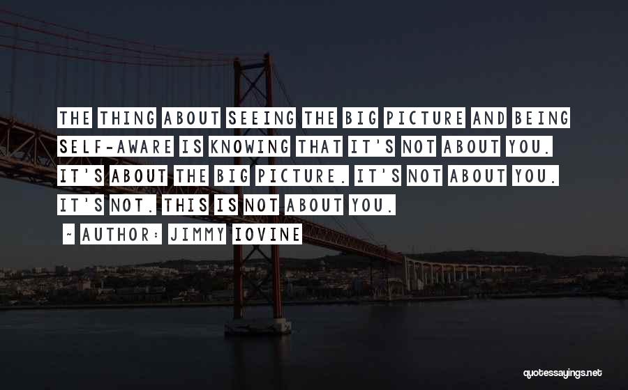 Jimmy Iovine Quotes: The Thing About Seeing The Big Picture And Being Self-aware Is Knowing That It's Not About You. It's About The