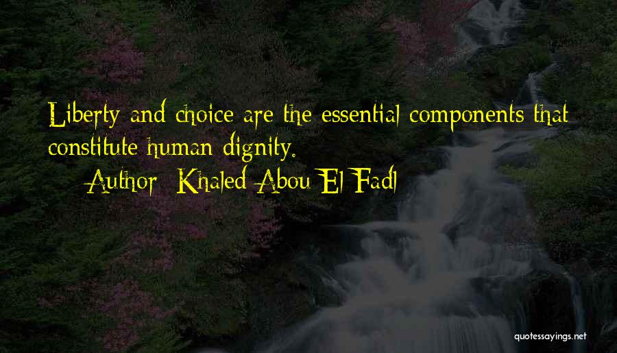 Khaled Abou El Fadl Quotes: Liberty And Choice Are The Essential Components That Constitute Human Dignity.