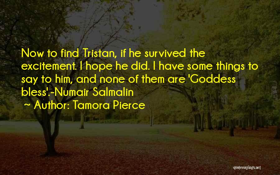 Tamora Pierce Quotes: Now To Find Tristan, If He Survived The Excitement. I Hope He Did. I Have Some Things To Say To