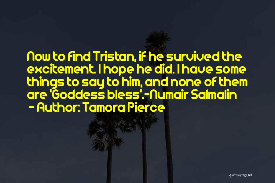 Tamora Pierce Quotes: Now To Find Tristan, If He Survived The Excitement. I Hope He Did. I Have Some Things To Say To