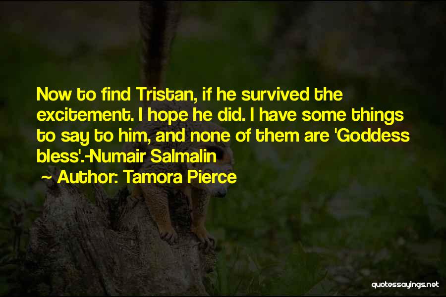 Tamora Pierce Quotes: Now To Find Tristan, If He Survived The Excitement. I Hope He Did. I Have Some Things To Say To