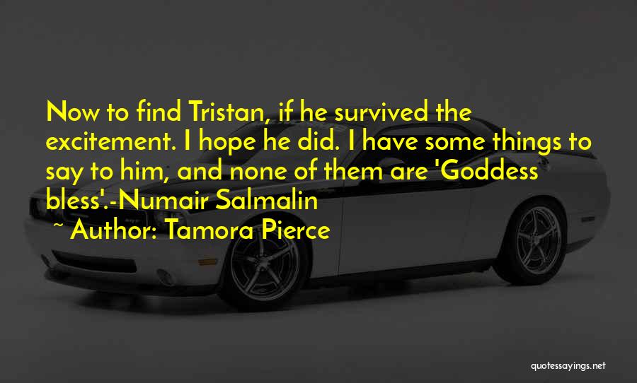 Tamora Pierce Quotes: Now To Find Tristan, If He Survived The Excitement. I Hope He Did. I Have Some Things To Say To