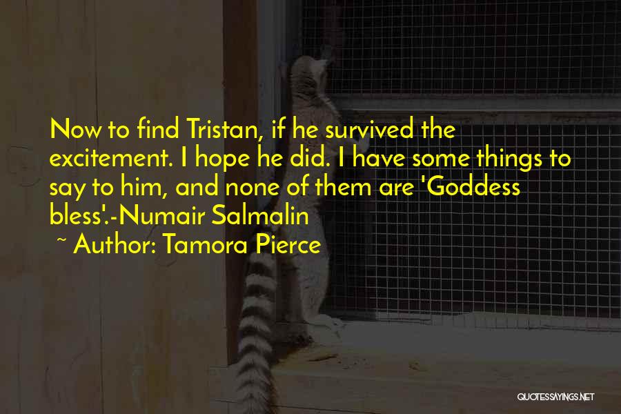 Tamora Pierce Quotes: Now To Find Tristan, If He Survived The Excitement. I Hope He Did. I Have Some Things To Say To