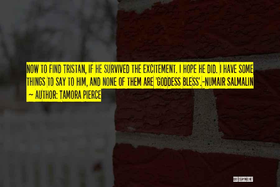 Tamora Pierce Quotes: Now To Find Tristan, If He Survived The Excitement. I Hope He Did. I Have Some Things To Say To