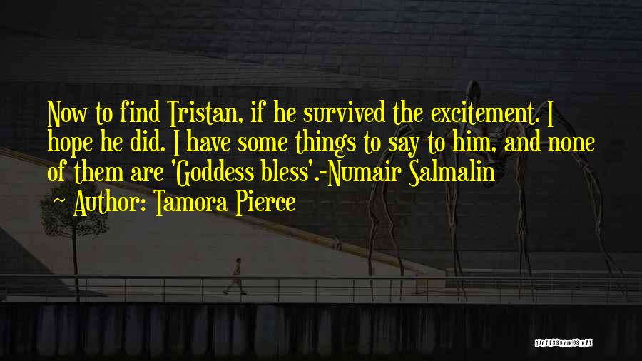 Tamora Pierce Quotes: Now To Find Tristan, If He Survived The Excitement. I Hope He Did. I Have Some Things To Say To