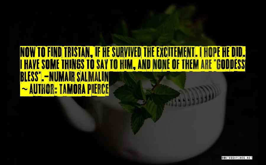 Tamora Pierce Quotes: Now To Find Tristan, If He Survived The Excitement. I Hope He Did. I Have Some Things To Say To