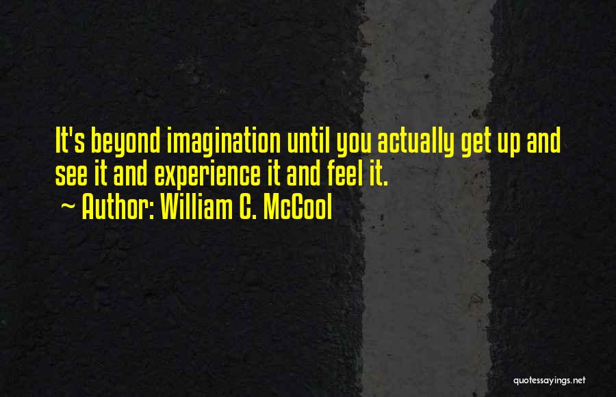 William C. McCool Quotes: It's Beyond Imagination Until You Actually Get Up And See It And Experience It And Feel It.