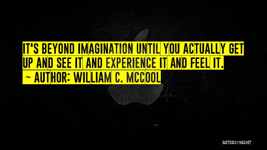 William C. McCool Quotes: It's Beyond Imagination Until You Actually Get Up And See It And Experience It And Feel It.