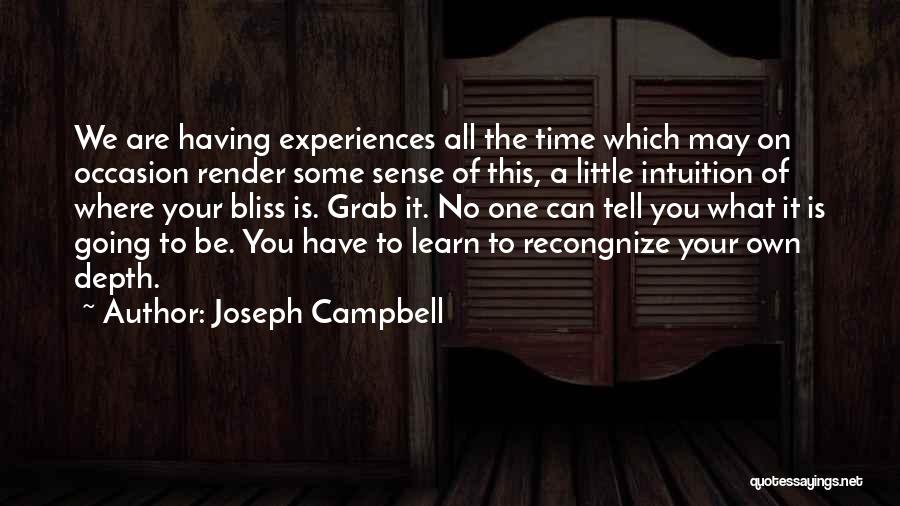 Joseph Campbell Quotes: We Are Having Experiences All The Time Which May On Occasion Render Some Sense Of This, A Little Intuition Of