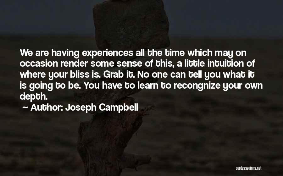 Joseph Campbell Quotes: We Are Having Experiences All The Time Which May On Occasion Render Some Sense Of This, A Little Intuition Of