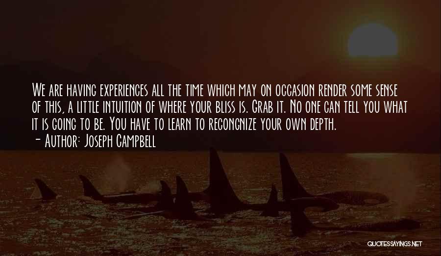 Joseph Campbell Quotes: We Are Having Experiences All The Time Which May On Occasion Render Some Sense Of This, A Little Intuition Of