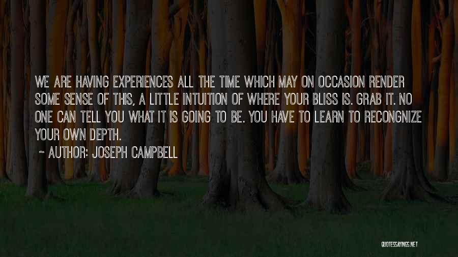 Joseph Campbell Quotes: We Are Having Experiences All The Time Which May On Occasion Render Some Sense Of This, A Little Intuition Of