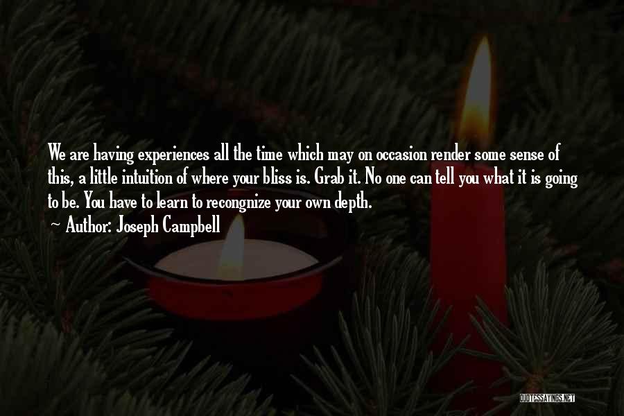 Joseph Campbell Quotes: We Are Having Experiences All The Time Which May On Occasion Render Some Sense Of This, A Little Intuition Of