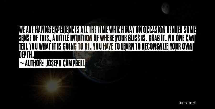 Joseph Campbell Quotes: We Are Having Experiences All The Time Which May On Occasion Render Some Sense Of This, A Little Intuition Of